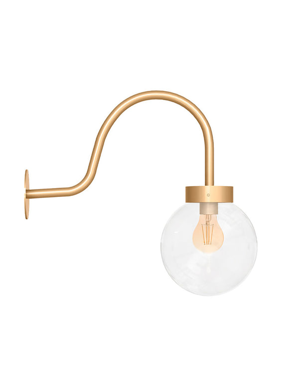 COMA CALISTO TRANSPARENTE OUTLET